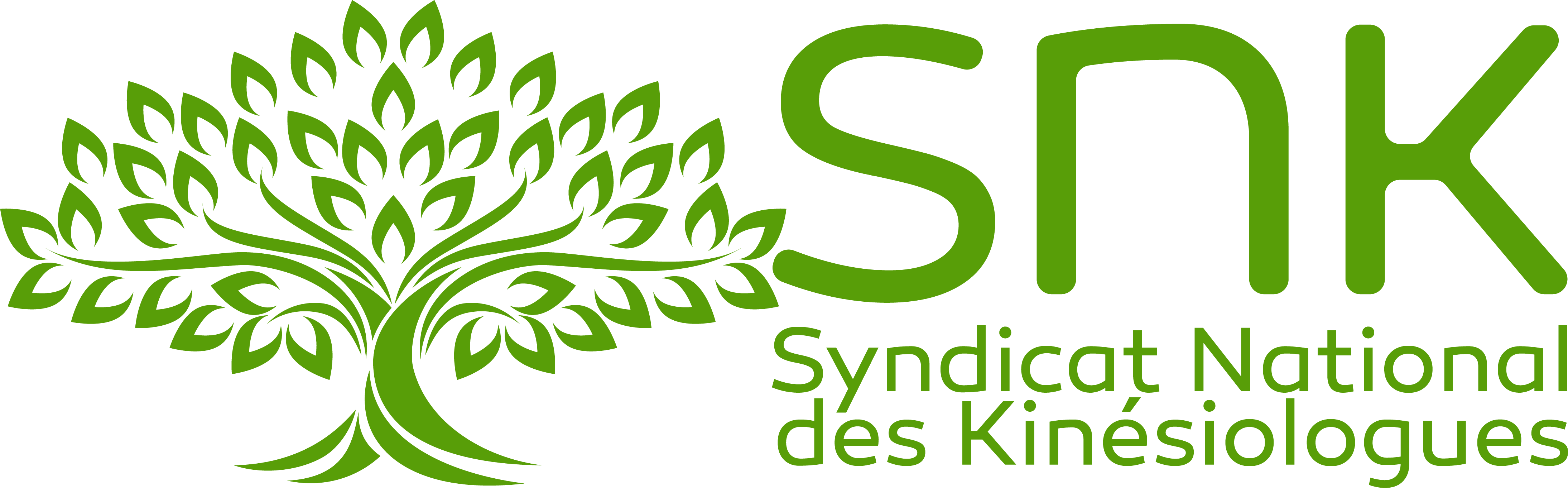snk logo